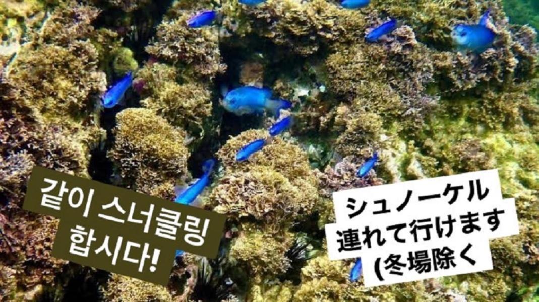 Plage Yuigahama Kamakura Eksteriør billede